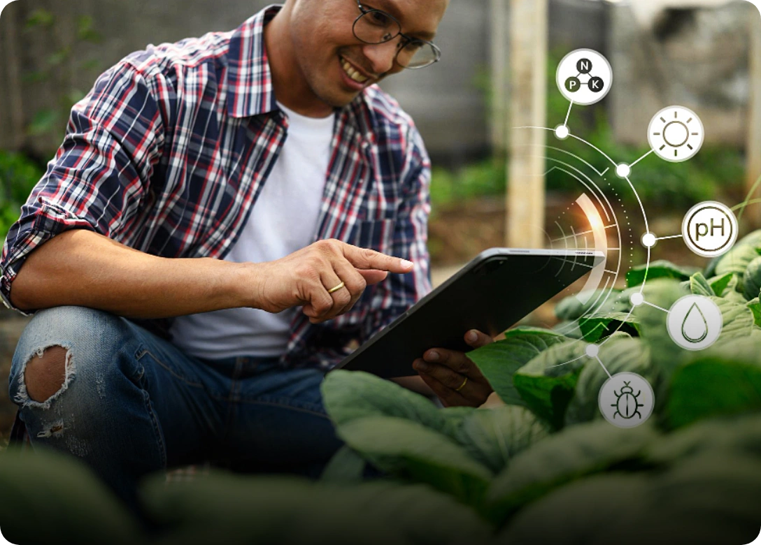 Transformation of DevOps and Cloud