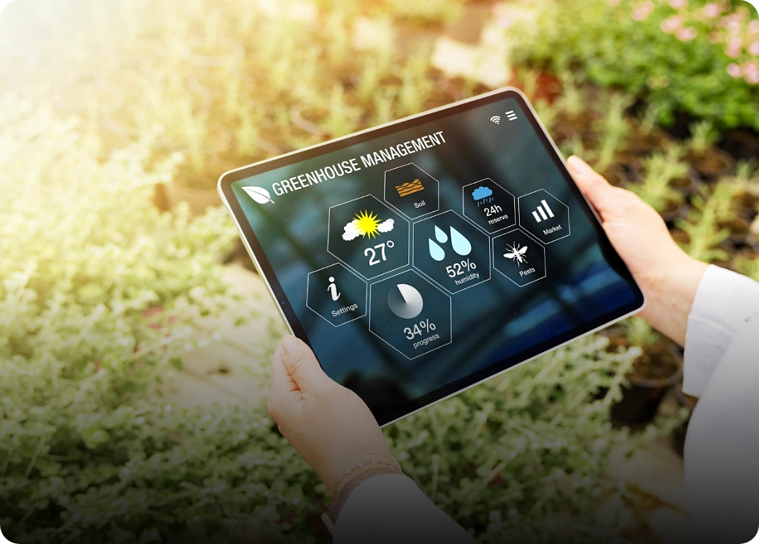 Strategic Analytics & Big Data