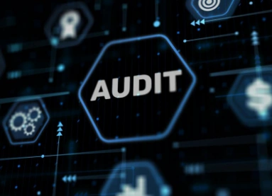 Continuous Audits And Performance Reviews