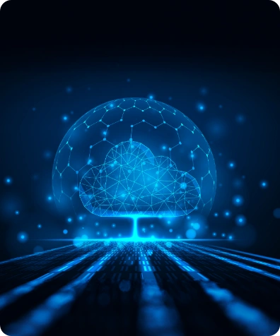 Seamless Migration & Integration