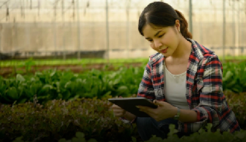 Boost Revenue for the Agro Startups with Customized Apps