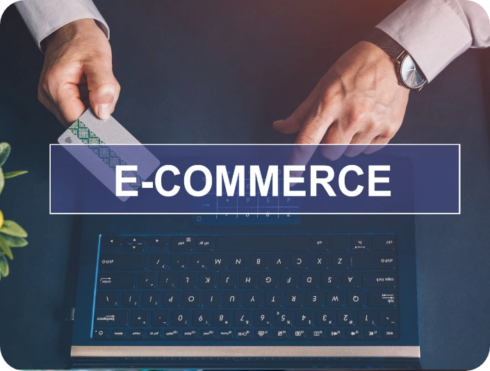 E-Commerce & Fintech