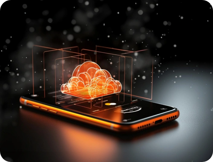 Customized Cloud