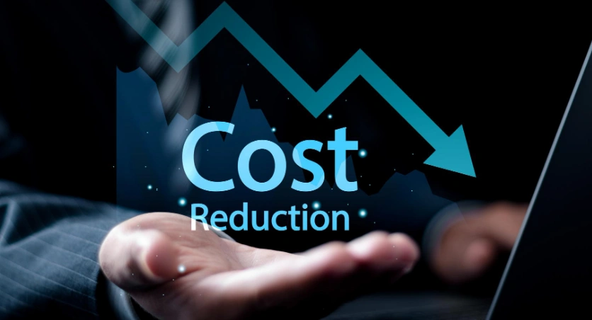 Reduced IT Costs