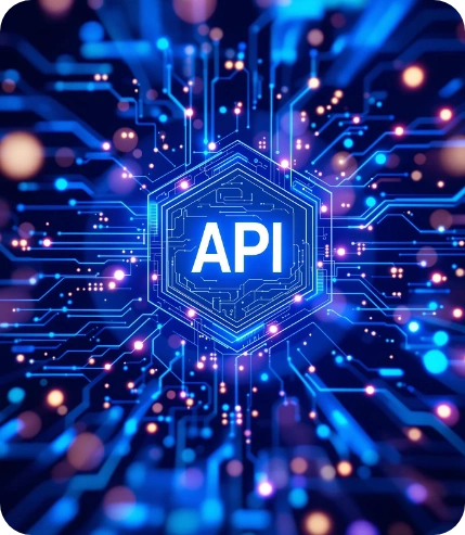 Seamless API & Third-Party Integrations