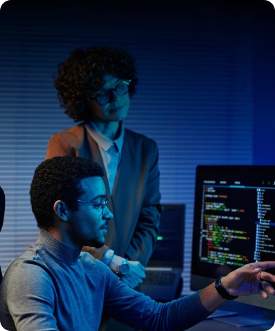 IT Consulting & Optimization