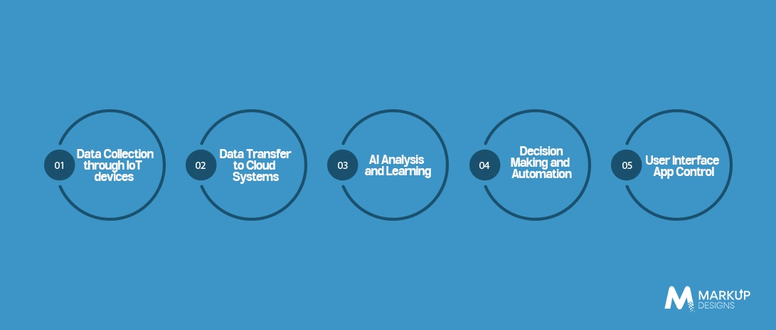 Process of AI and IoT Application Development