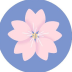 Bloom 560M