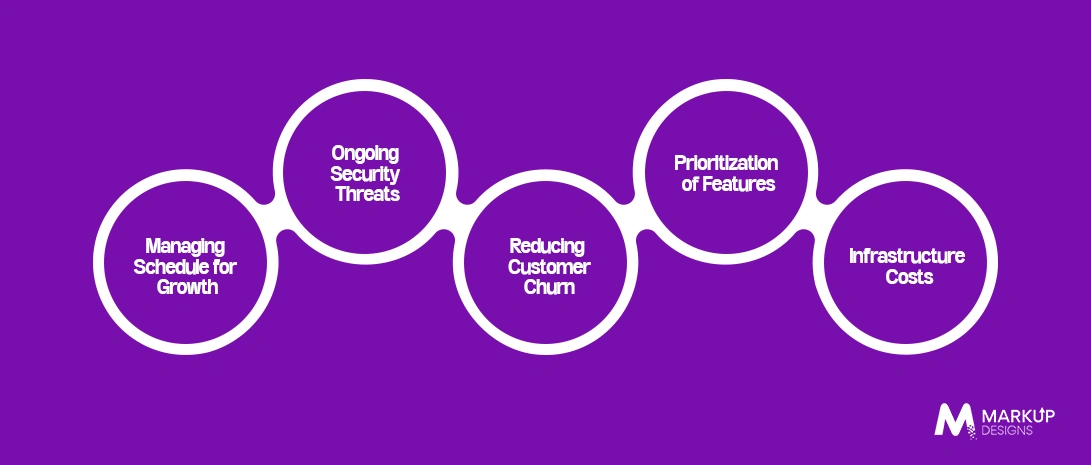 Common Development Issues Faced by Developers of SaaS Applications