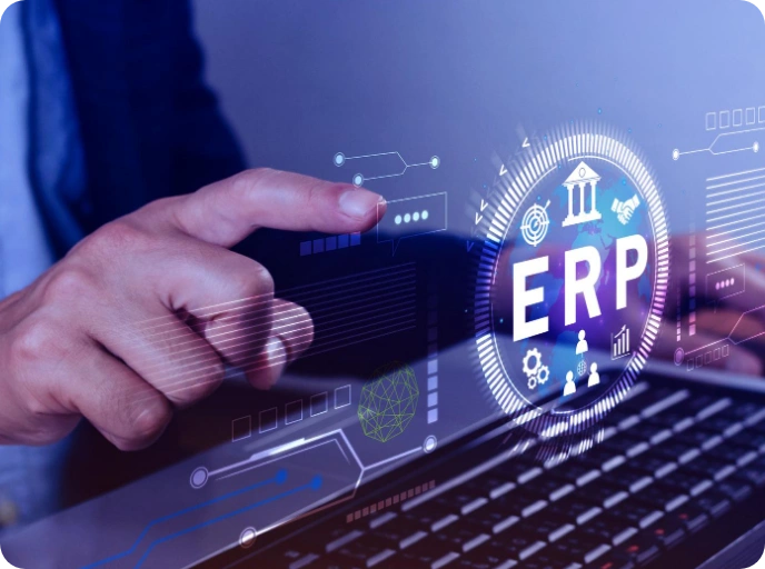 Custom ERP Solutions