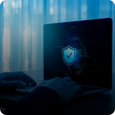 Data Privacy & Protection