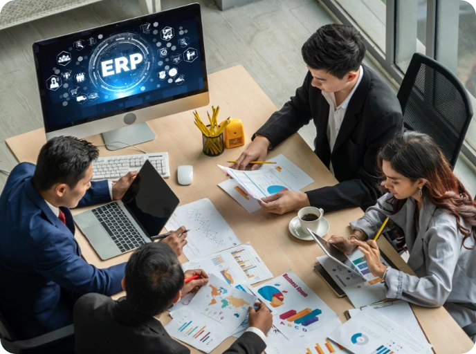 ERP Consulting Services