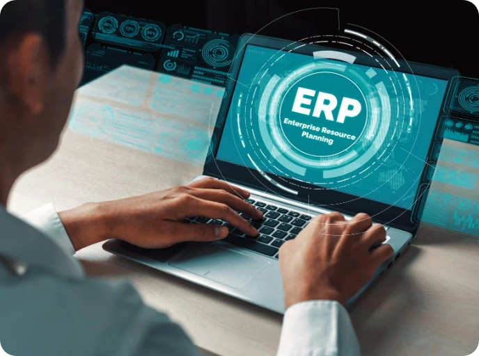 Hybrid ERP Solutions