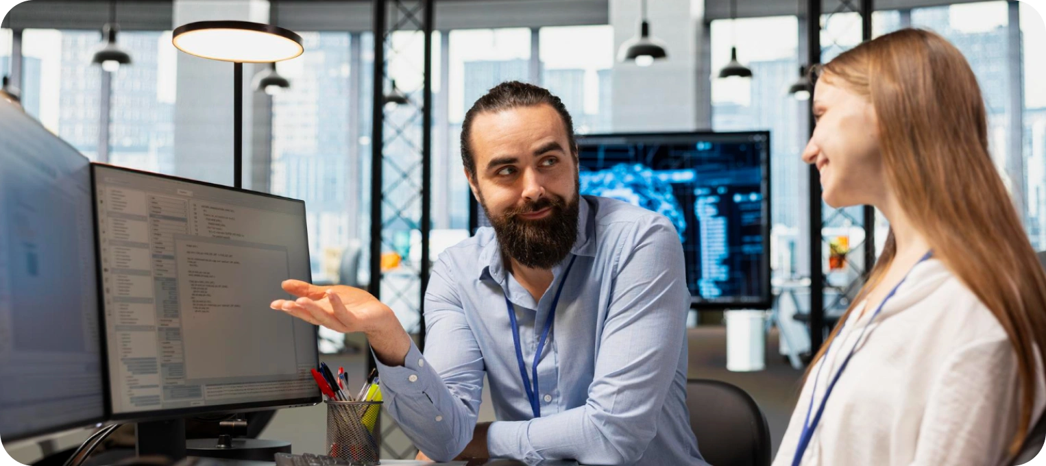 Software Consulting Services