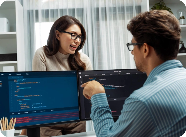 Custom Software Development