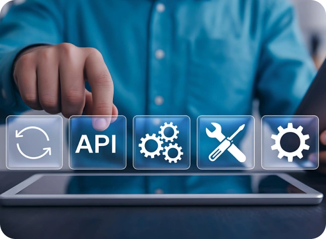 Software Integration Services
