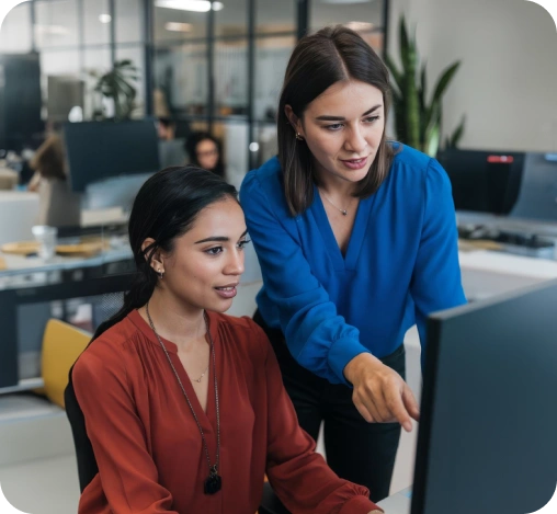 Software Maintenance and Support