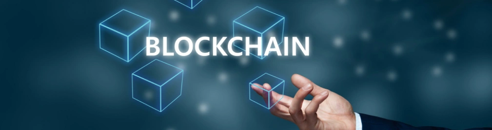 Blockchain Platforms