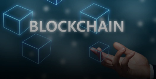 Blockchain Platforms