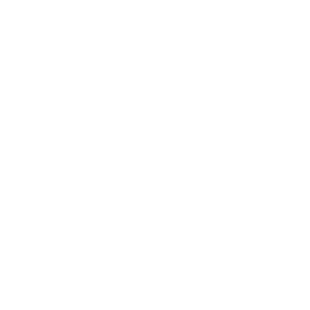 AI Chatbot
