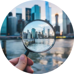 Discovery and Requirements Analysis