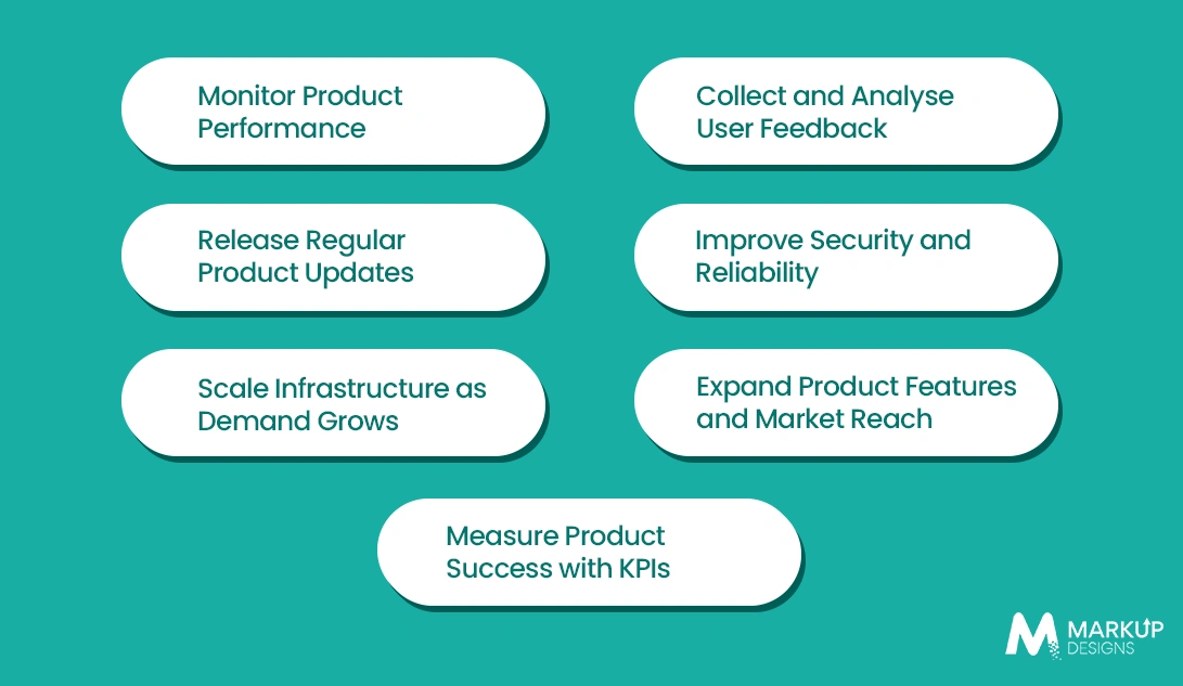 How to Manage and Scale Your Software Product After Launch