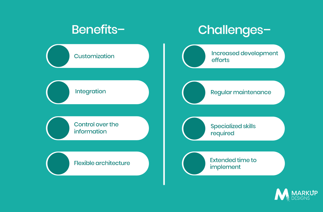 Building a Custom RAG Solution_ Benefits and Challenges